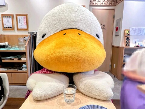 【ご当地キャラ】「すがもん」と相席している様子（2024年9月）【ガモール志學亭】