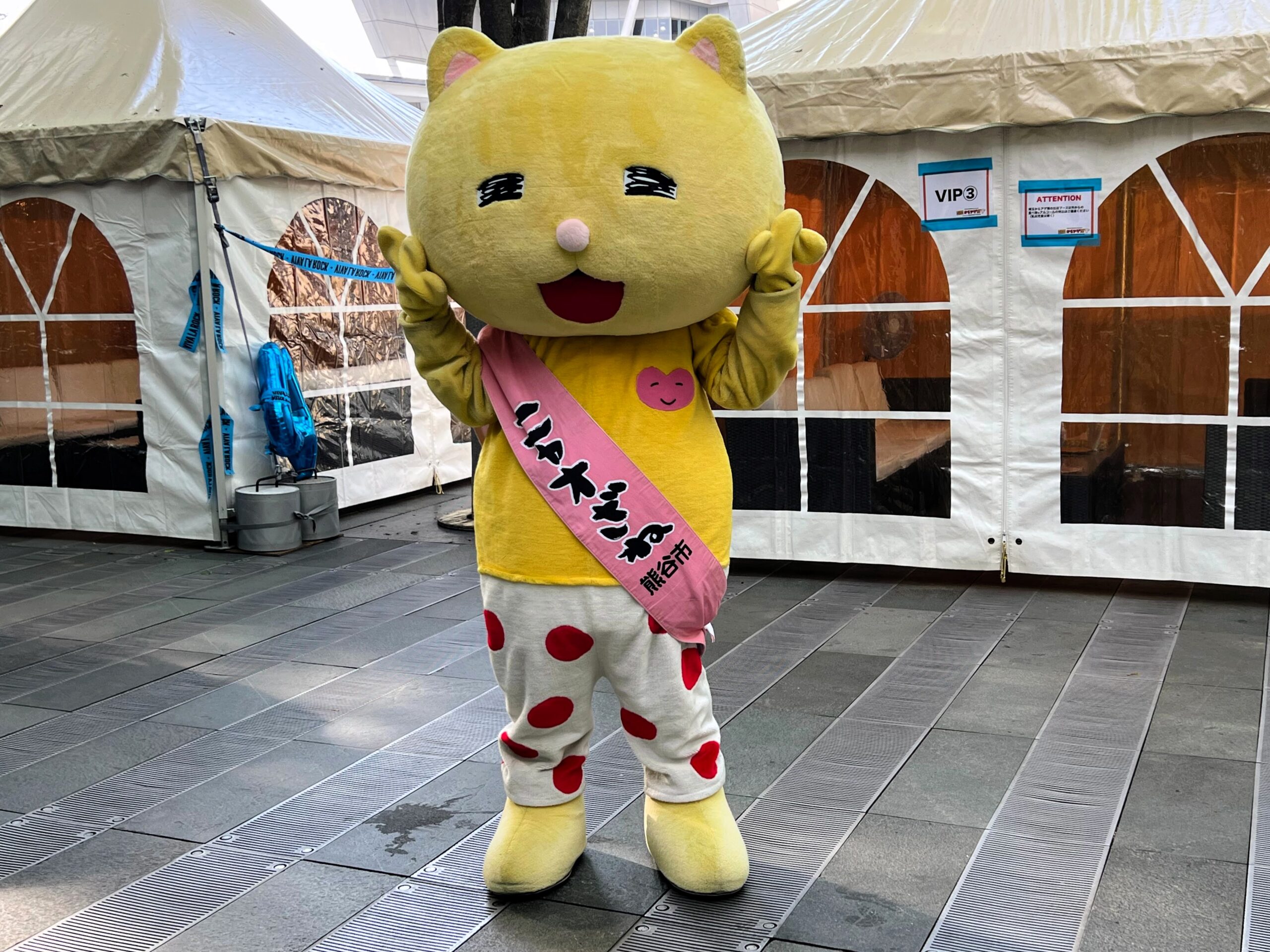 ニャオザネ様おまとめ 25adc4fe02353f288b1e03825887e5