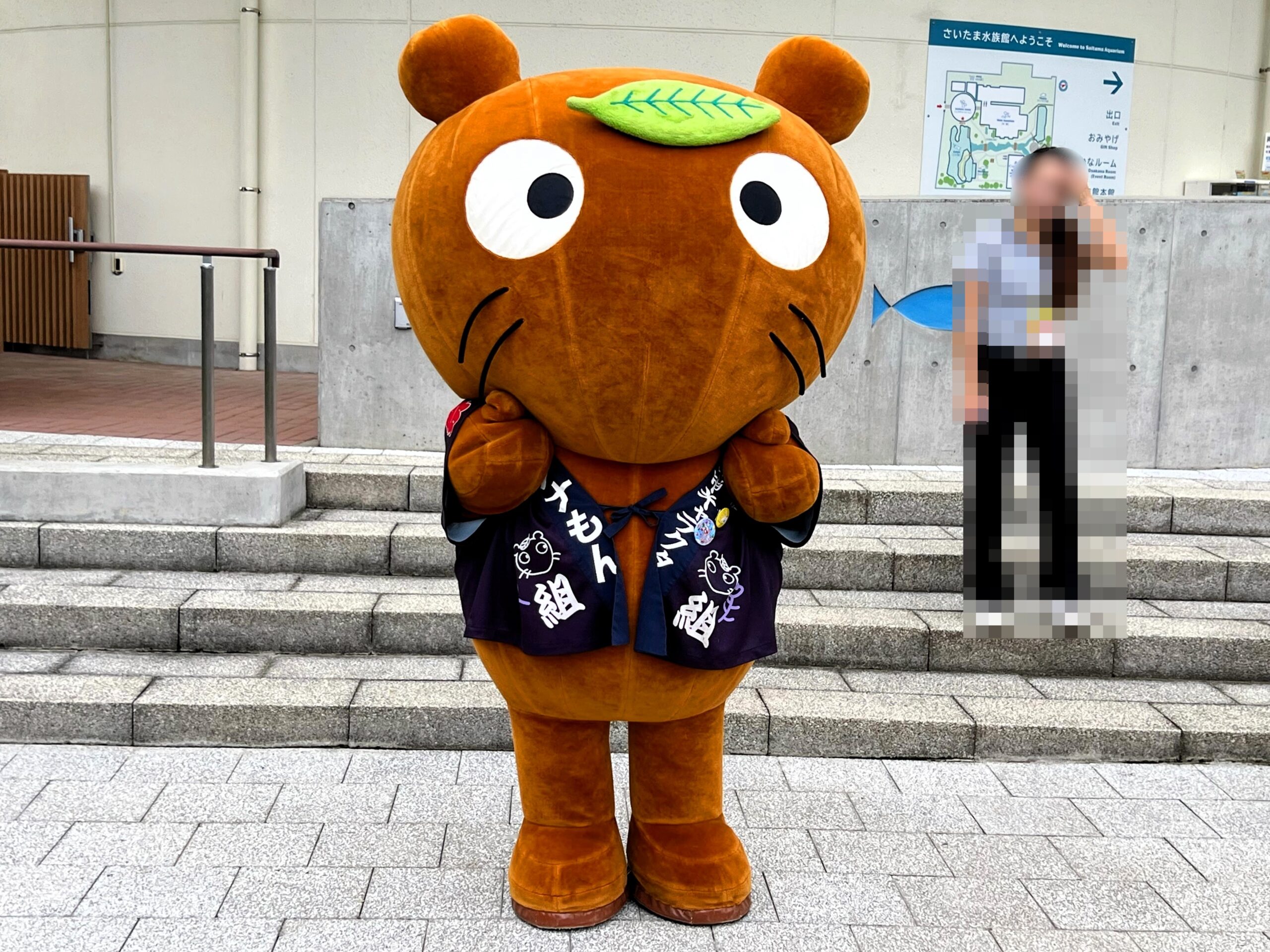 ゆるキャラ】埼玉県羽生市の「ムジナもん」（2024年8月10日）【埼玉県
