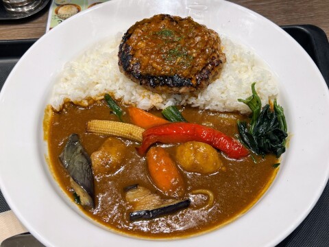 【マイカリー食堂専門店】チミチュリソースハンバーグカレー（マイカレーソース、季節の野菜入り）2024年8月 【期間限定】