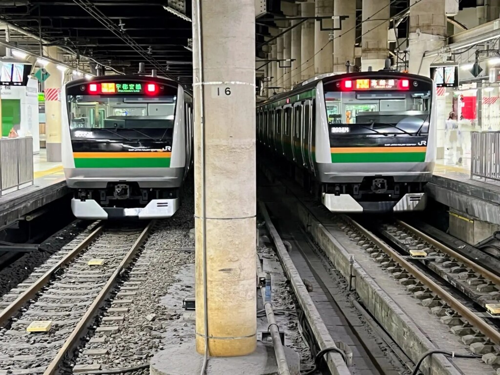 【JR東日本】大宮方面に向かう快速列車が2つ並んで停まっている様子（JR上野駅15番・16番線）