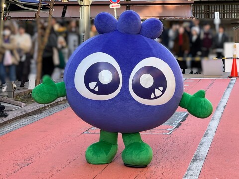 【ゆるキャラ】わかさ生活「ブルブルくん」（2024年12月）【浅草オレンジ通りクリスマスフェア2024】