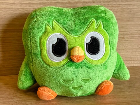 【グッズ感想】Duolingoのキャラクター「デュオ」のぬいぐるみ「Duo Plushie」【Duolingo】