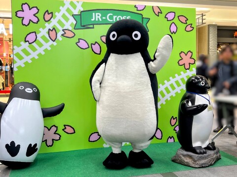【JR東日本】「Suicaのペンギン」グリーティング中の様子（2025年4月）【JR大宮駅】