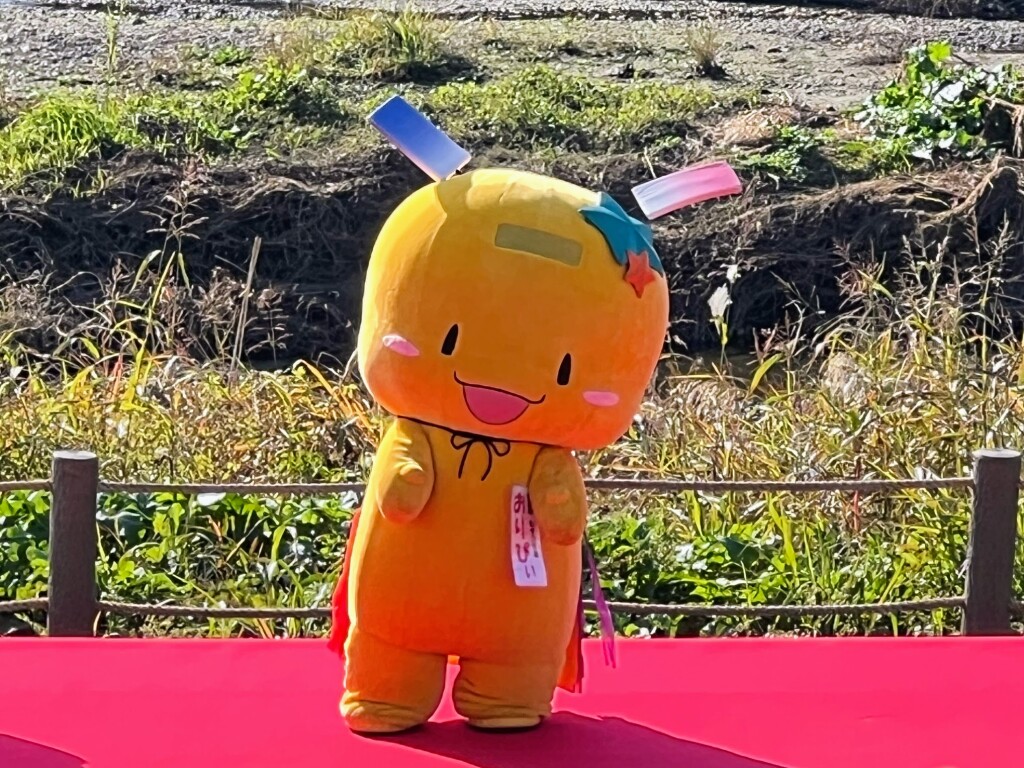 【ゆるキャラ】狭山市公式イメージキャラクター「七夕の妖精 おりぴぃ」（2025年11月）【第18回志木市民まつり】