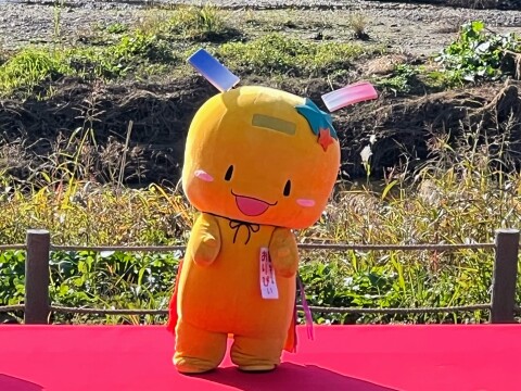 【ゆるキャラ】狭山市公式イメージキャラクター「七夕の妖精 おりぴぃ」（2025年11月）【第18回志木市民まつり】