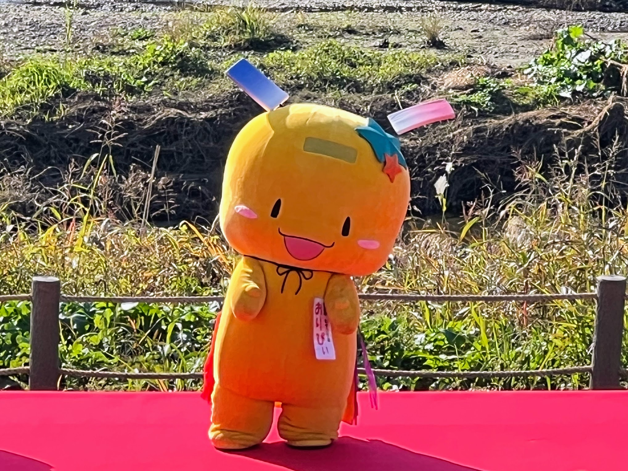 ゆるキャラ】狭山市公式イメージキャラクター「七夕の妖精 おりぴぃ