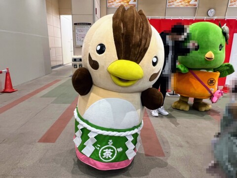 埼玉県入間市 公式マスコットキャラクター「いるティー」