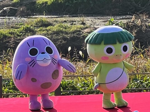 【ゆるキャラ】埼玉県・志木市商工会の「カッピー」と「志木あらちゃん」（2025年11月）【第18回志木市民まつり】