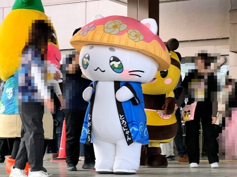 【ゆるキャラ】埼玉県・長瀞町公式マスコットキャラクター「とろにゃん」（2025年11月）【世界キャラクターさみっとin羽生2025】