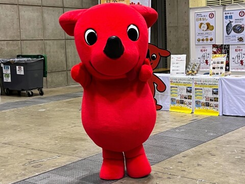 【ゆるキャラ】千葉県マスコットキャラクター「チーバくん」：「将棋日本シリーズ JTプロ公式戦」関東大会（決勝）の会場にて（2023年11月）【東京ビッグサイト】