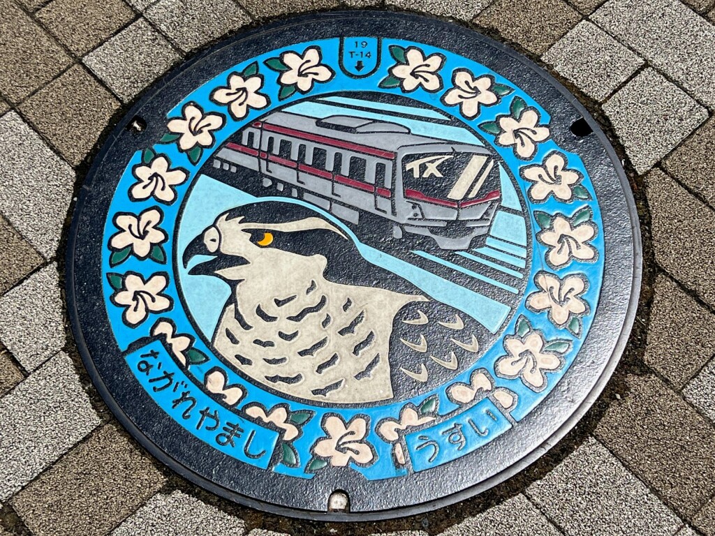 【ご当地マンホール】「オオタカ」「つくばエクスプレス」「ツツジ」のデザインマンホール（2025年8月撮影）【千葉県流山市/流山おおたかの森駅】