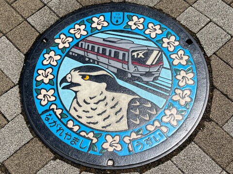 【ご当地マンホール】「オオタカ」「つくばエクスプレス」「ツツジ」のデザインマンホール（2025年8月撮影）【千葉県流山市/流山おおたかの森駅】