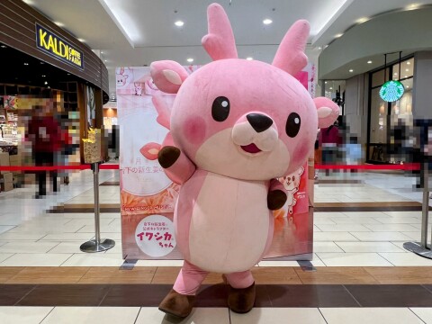 【ゆるキャラ】岩下の新生姜公式キャラクター「イワシカちゃん」（2026年1月）【第11回イオン栃木県フェア/イオンレイクタウンmori】