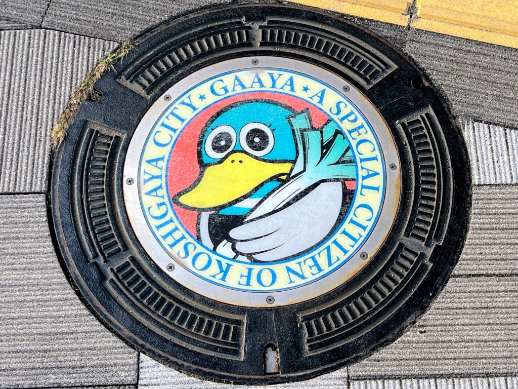 【ご当地マンホール】越谷特別市民「ガーヤちゃん」マンホール（2024年10月撮影）【埼玉県越谷市/越谷駅東口】