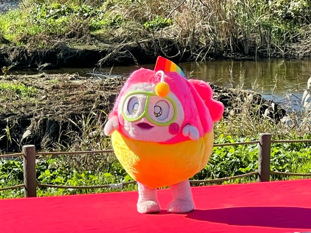 【ゆるキャラ】石川県能登町の非公認キャラクター「プク丸ちゃん」（2024年12月）【第17回志木市民まつり/いろは親水公園】
