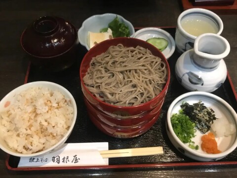 【出雲そば】有名店「献上そば 羽根屋」本店の割子そば定食（2018年10月撮影）【島根県出雲市】