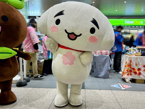 【ゆるキャラ】「しらかわ 観光・物販フェア」：白河市公認キャラクター「しらかわん」の様子（2026年1月31日）【埼玉県さいたま市/JR大宮駅】