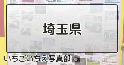 埼玉県
