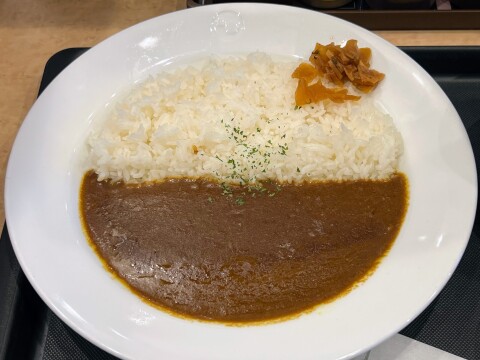 【松のや】濃厚ながらも食べやすい一皿。「濃厚コク旨カレー」（2026年2月）【期間限定】