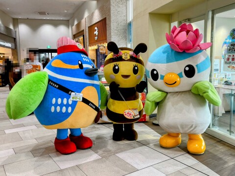 【ゆるキャラ】PASAR蓮田（上り線）での一幕：「はすーる」「原宿みっころ」「はすぴぃ」（2025年3月2日）【埼玉県蓮田市】