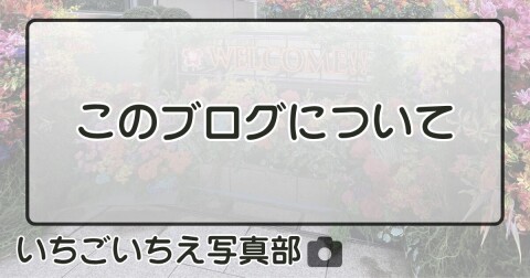 このブログについて
