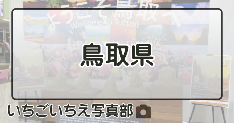 鳥取県