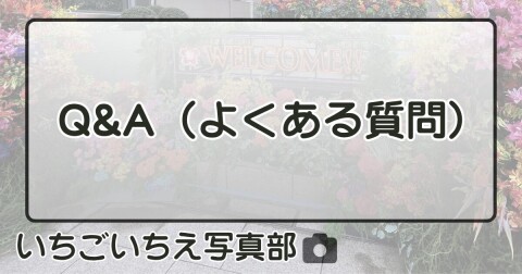 Q&A（よくある質問）