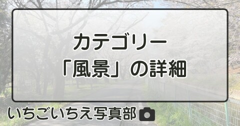 カテゴリー「風景」の詳細