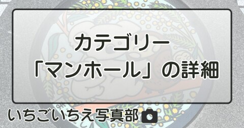 カテゴリー「マンホール」の詳細