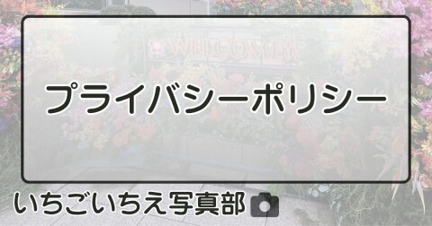 プライバシーポリシー