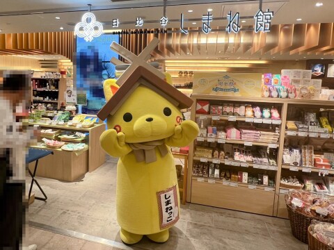 【ゆるキャラ】日比谷しまね館 周年祭：島根県観光キャラクター「しまねっこ」の様子（2026年5月30日）【東京都千代田区】
