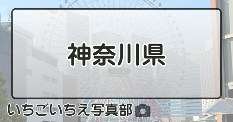 神奈川県