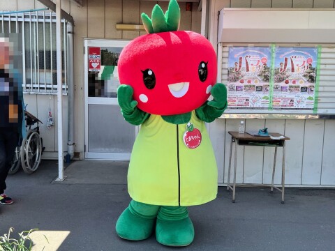 【ゆるキャラ】2026バラまつり：埼玉県北本市のキャラクター「とまちゃん」の様子（2026年5月9日）【埼玉県伊奈町/伊奈町制施行記念公園】