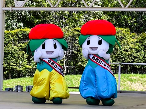 【ゆるキャラ】2026バラまつり：埼玉県伊奈町のキャラクター「伊奈ローズちゃん」「伊奈ローズくん」の様子（2026年5月9日）【埼玉県伊奈町/伊奈町制施行記念公園】