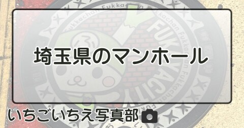 埼玉県のマンホール