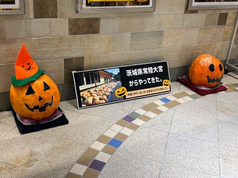 【大船フラワーセンター】茨城県常陸大宮市産のおばけカボチャを使ったハロウィン展示（2024年10月）【神奈川県鎌倉市/JR大船駅】
