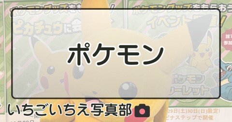 ポケモン