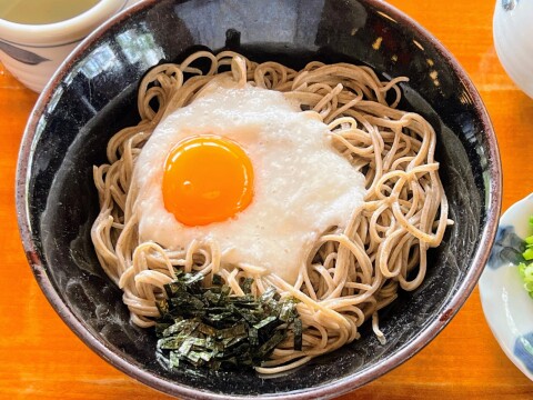 【閉店済】献上そば羽根屋 伝承館店:山かけそば(冷)(2022年8月撮影)【島根県出雲市】