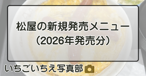 松屋の新規販売メニュー(2026年発売分)