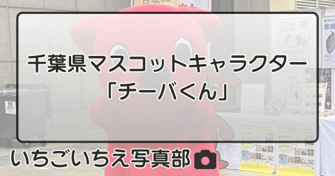 千葉県マスコットキャラクター「チーバくん」