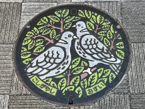 【ご当地マンホール】埼玉県民の鳥・越谷市の鳥「しらこばと」カラーマンホール（2024年10月撮影）【埼玉県越谷市】