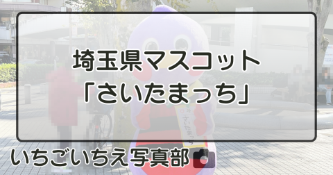 埼玉県マスコット「さいたまっち」