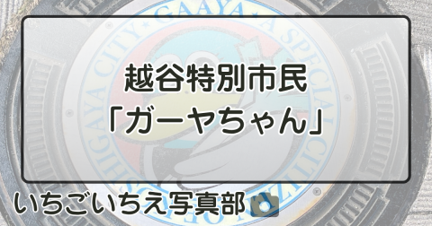 越谷特別市民「ガーヤちゃん」