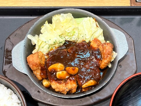 【松のや】2024年内に販売されていた全メニューの個人的ベスト5を選んでみた