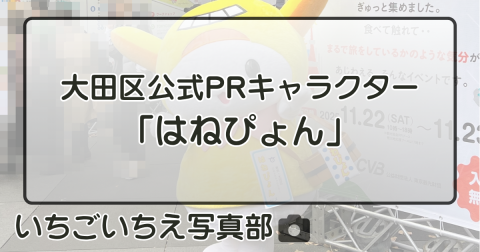 大田区公式PRキャラクター「はねぴょん」