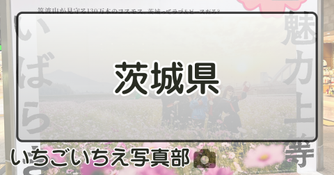 茨城県