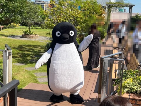 【JR東日本】「Suicaのペンギン」グリーティング中の様子など（2026年10月17日）【埼玉県さいたま市/ルミネ大宮 LUMINE2】
