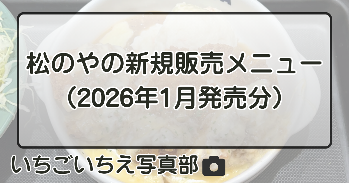 《詳しく知りたい》松のやの新規販売メニュー（2026年1月発売分） | いちごいちえ写真部